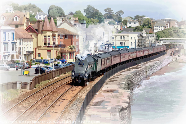 Steam train passing through Dawlish in South Devon Picture Board by Rosie Spooner