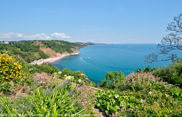 Oddicombe Beach view from Babbacombe Downs Torquay Picture Board by Rosie Spooner