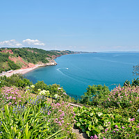 Buy canvas prints of Oddicombe Beach view from Babbacombe Downs Torquay by Rosie Spooner