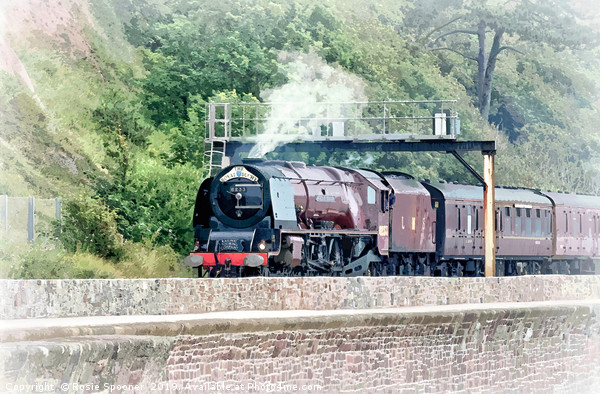 The Royal Duchy Steam Train at Teignmouth Devon Picture Board by Rosie Spooner