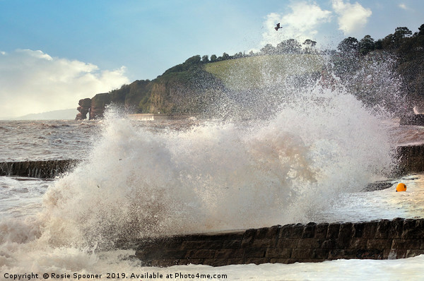 Stormy Seas at Dawlish in South Devon Picture Board by Rosie Spooner