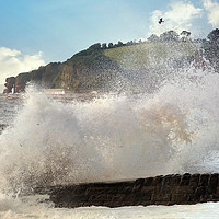 Buy canvas prints of Stormy Seas at Dawlish in South Devon by Rosie Spooner