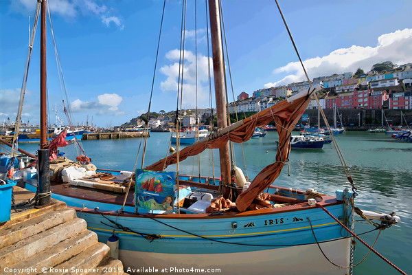 Lugger IRIS moored at Brixham Harbour in Devon Picture Board by Rosie Spooner