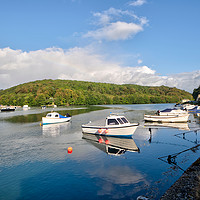 Buy canvas prints of Early morning on The River Looe  in Cornwall by Rosie Spooner