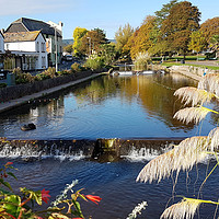Buy canvas prints of Autumn at Dawlish Brook in South Devon by Rosie Spooner