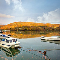 Buy canvas prints of Early morning autumn view on the River Looe  by Rosie Spooner