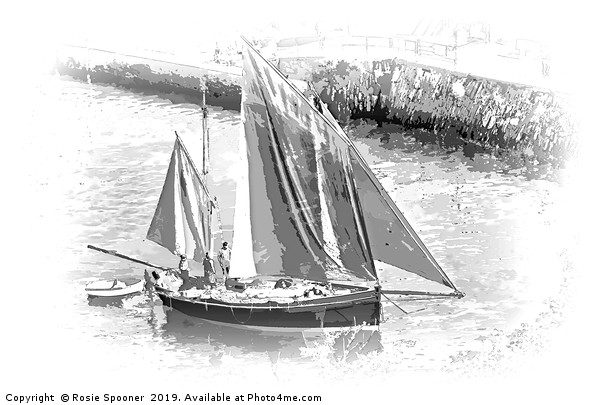 Looe Lugger in Black and White  Picture Board by Rosie Spooner