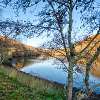 Buy canvas prints of The West Looe River in autumn.  by Rosie Spooner