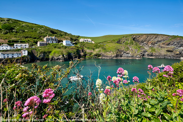 Port Isaac in North Cornwall Picture Board by Rosie Spooner