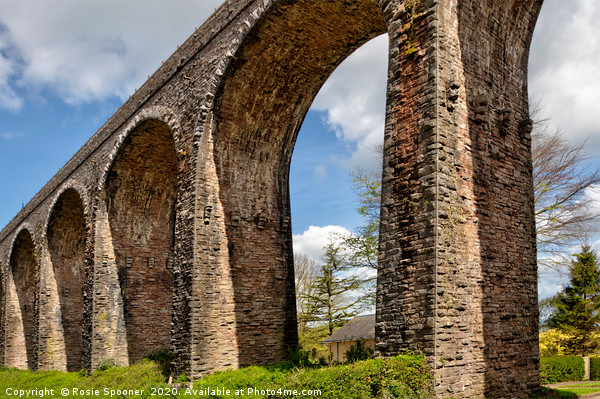 Broadsands Viaduct in Torbay, South Devon Picture Board by Rosie Spooner