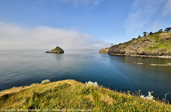Mist rising over Thatcher Rock in Torquay Picture Board by Rosie Spooner
