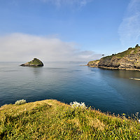 Buy canvas prints of Mist rising over Thatcher Rock in Torquay by Rosie Spooner