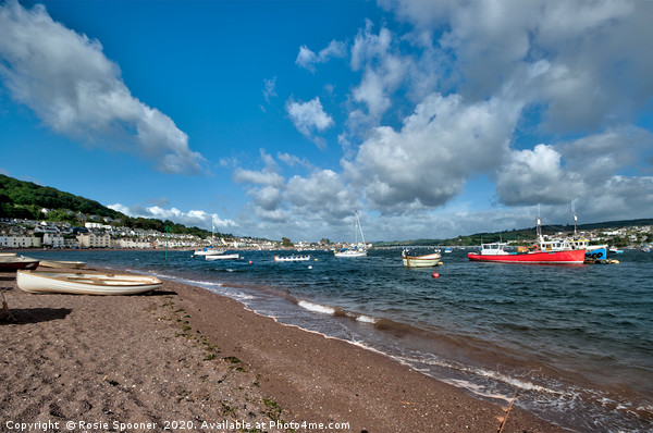 Teignmouth Back Beach on the River Teign Picture Board by Rosie Spooner