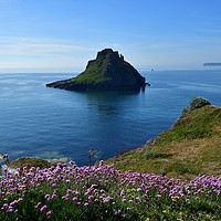 Buy canvas prints of Thatcher Rock view from the coast path by Rosie Spooner