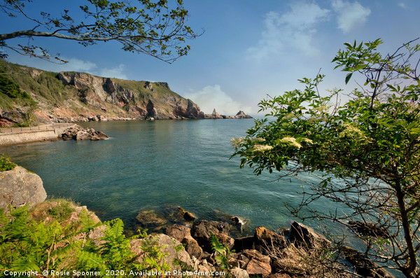 Ansteys Cove in Torquay Picture Board by Rosie Spooner