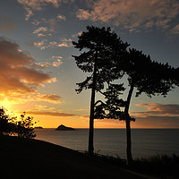 Buy canvas prints of Meadfoot Beach Sunrise in Torquay Devon by Rosie Spooner