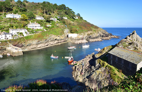 Polperro Outer Harbour and The Old Net Loft Picture Board by Rosie Spooner