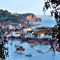 Buy canvas prints of Looking through the trees to Teignmouth by Rosie Spooner