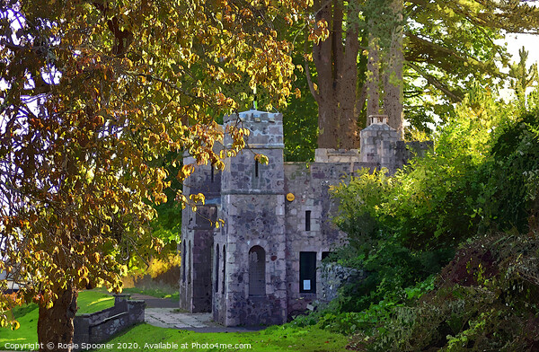 The Castle at Homeyards Botanical Gardens in Shaldon Devon Picture Board by Rosie Spooner