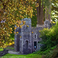 Buy canvas prints of The Castle at Homeyards Botanical Gardens in Shaldon Devon by Rosie Spooner
