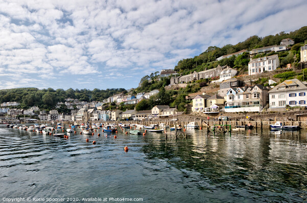 View of West Looe on The River Looe Picture Board by Rosie Spooner