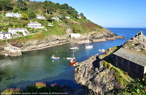 Polperro Outer Harbour and The Net Loft  Picture Board by Rosie Spooner