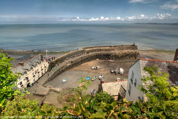 Looking Down on Clovelly  Picture Board by Rosie Spooner