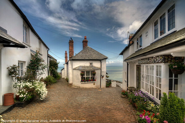 End of the Lane at Clovelly in Devon Picture Board by Rosie Spooner