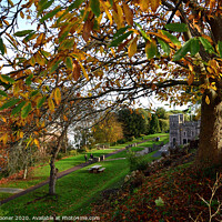 Buy canvas prints of Autumn at The Botanical Gardens at Shaldon by Rosie Spooner