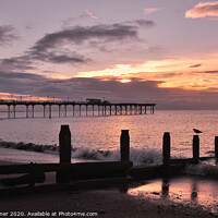 Buy canvas prints of Teignmouth at Sunrise by Rosie Spooner