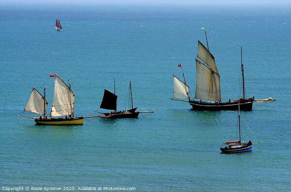 Luggers during Regatta at Looe Picture Board by Rosie Spooner
