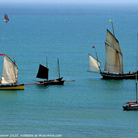 Buy canvas prints of Luggers during Regatta at Looe by Rosie Spooner