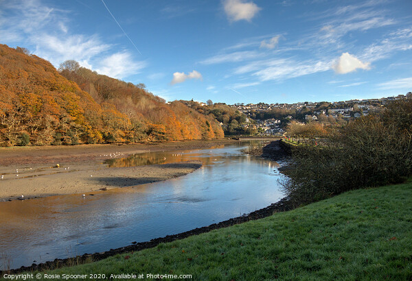 The West Looe River in Cornwall in Autumn Picture Board by Rosie Spooner