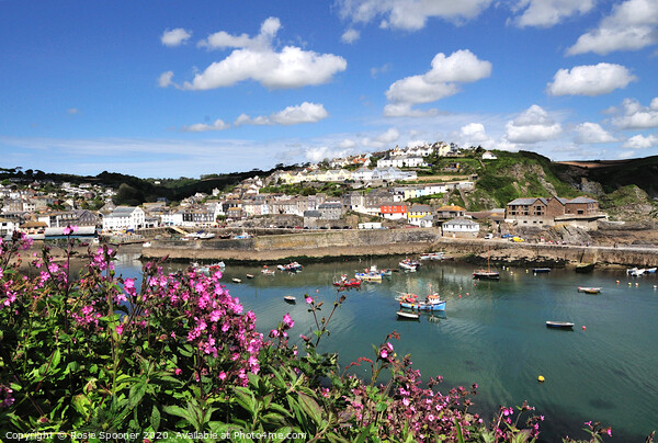 Mevagissey from the Coast Path in Cornwall Picture Board by Rosie Spooner