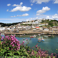 Buy canvas prints of Mevagissey from the Coast Path in Cornwall by Rosie Spooner