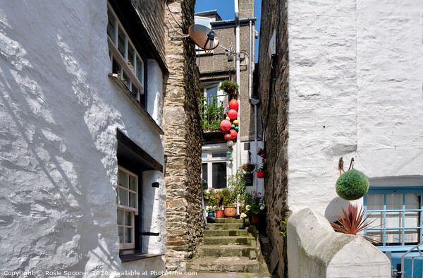 Fascinating cottages at Polperro Picture Board by Rosie Spooner