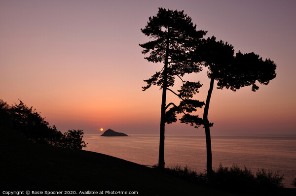 Silhouetted trees at Sunrise at Meadfoot Beach in  Picture Board by Rosie Spooner