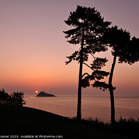 Buy canvas prints of Silhouetted trees at Sunrise at Meadfoot Beach in  by Rosie Spooner