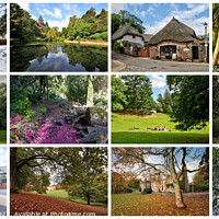 Buy canvas prints of Cockington in Torquay through the season by Rosie Spooner