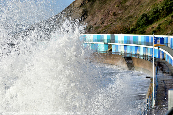 Rough seas at Meadfoot Beach in Torquay Devon Picture Board by Rosie Spooner