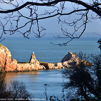 Buy canvas prints of Golden Light on Long Quarry Point at Anstey's Cove  by Rosie Spooner