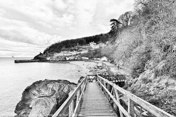 The Wooden Bridge at Babbacombe Torquay in grey tones Picture Board by Rosie Spooner