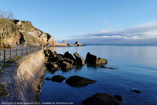 Early morning at Anstey's Cove in Torquay Picture Board by Rosie Spooner