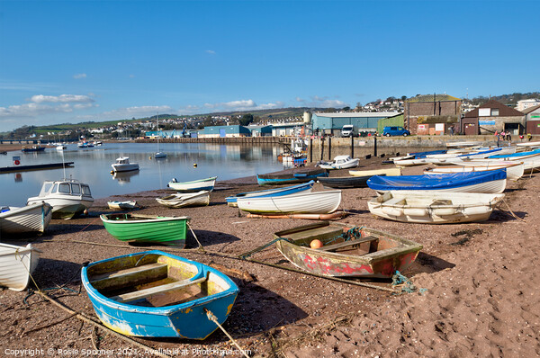 Teignmouth Back Beach in South Devon Picture Board by Rosie Spooner