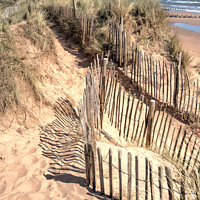 Buy canvas prints of Sand Dunes at Dawlish Warren in South Devon by Rosie Spooner