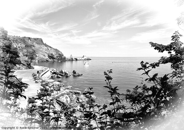 Anstey's Cove through the trees in Torquay in Black and White Picture Board by Rosie Spooner