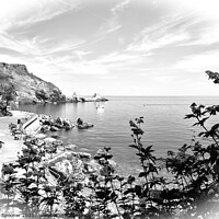 Buy canvas prints of Anstey's Cove through the trees in Torquay in Black and White by Rosie Spooner