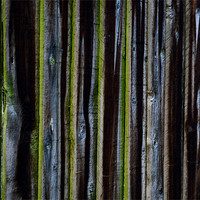 Buy canvas prints of wood fence by Marta Denkova-Hristova