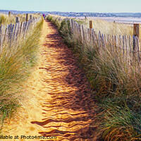 Buy canvas prints of Path Through The Dunes by Peter F Hunt
