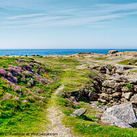 Buy canvas prints of Rugged Portland Bill by Peter F Hunt